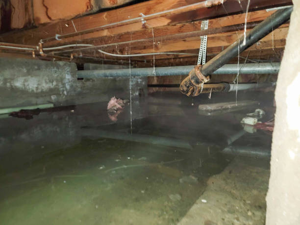 Haines, AK Water damage restoration Company
