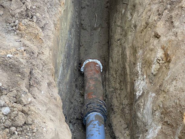 Best Emergency water damage restoration  in Haines, AK