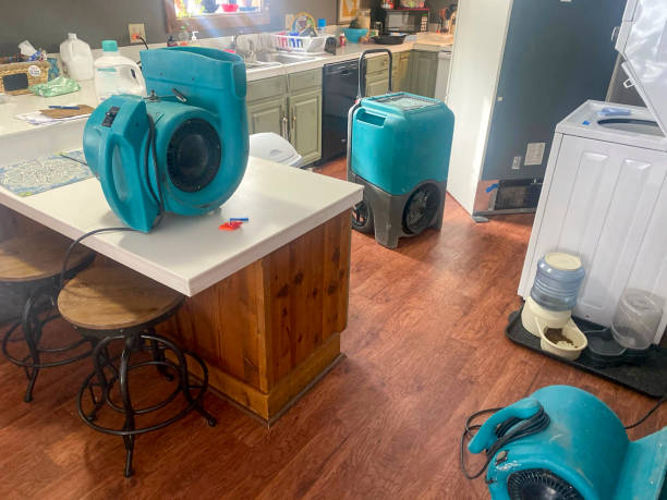 Best 24/7 water damage repair  in Haines, AK