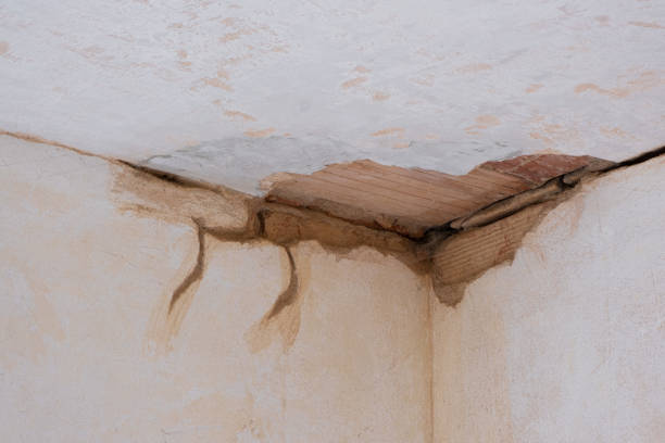 Best Ceiling water damage repair  in Haines, AK