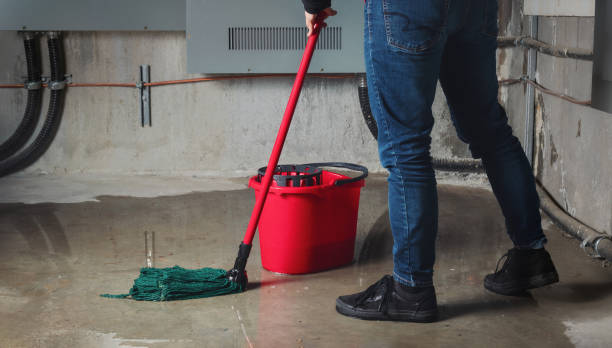 Best Residential water damage restoration  in Haines, AK