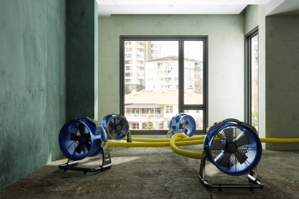 Best Commercial water damage restoration  in Haines, AK